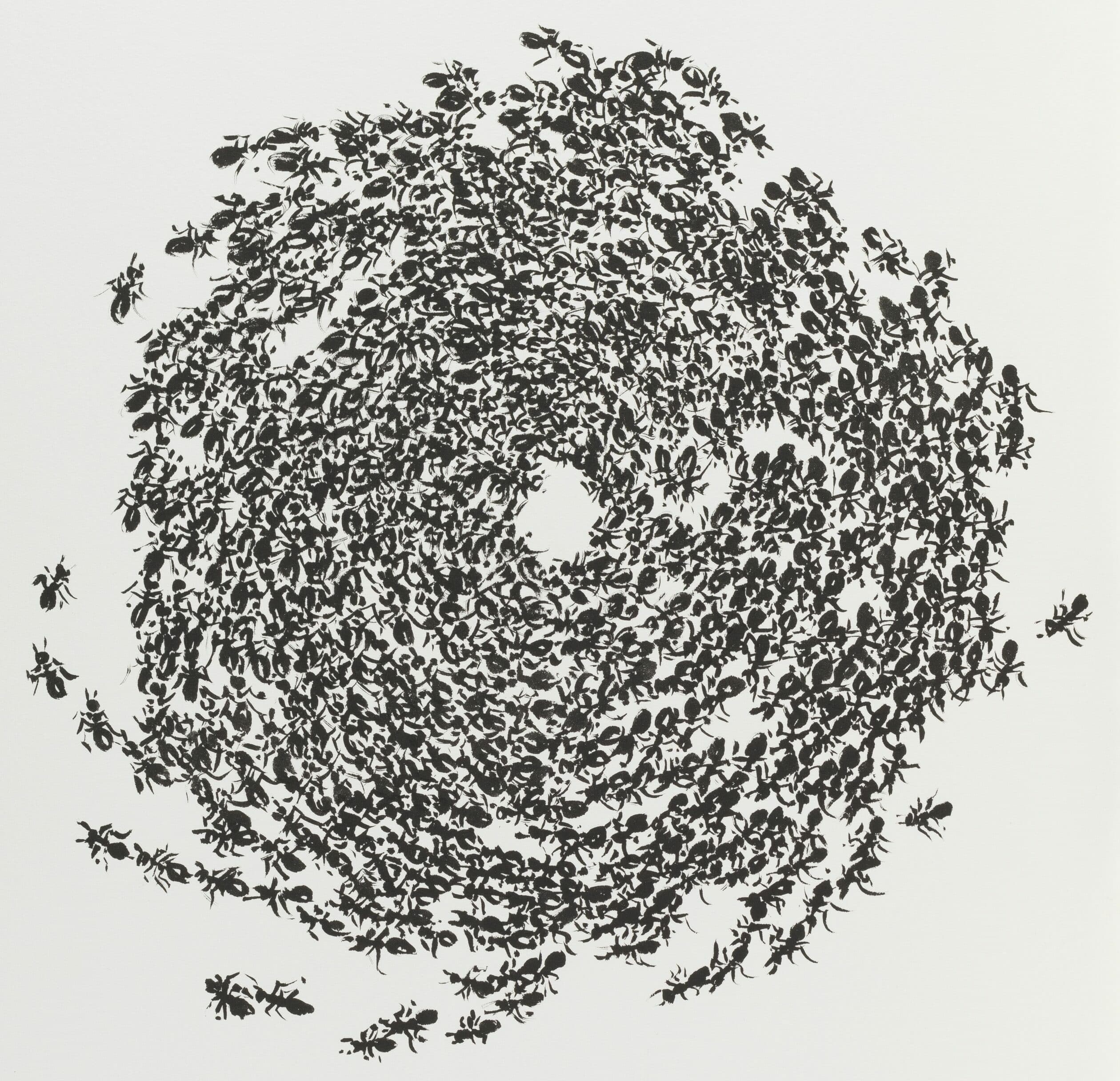 Wege der Ameise: Ein Kreis aus Ameisen